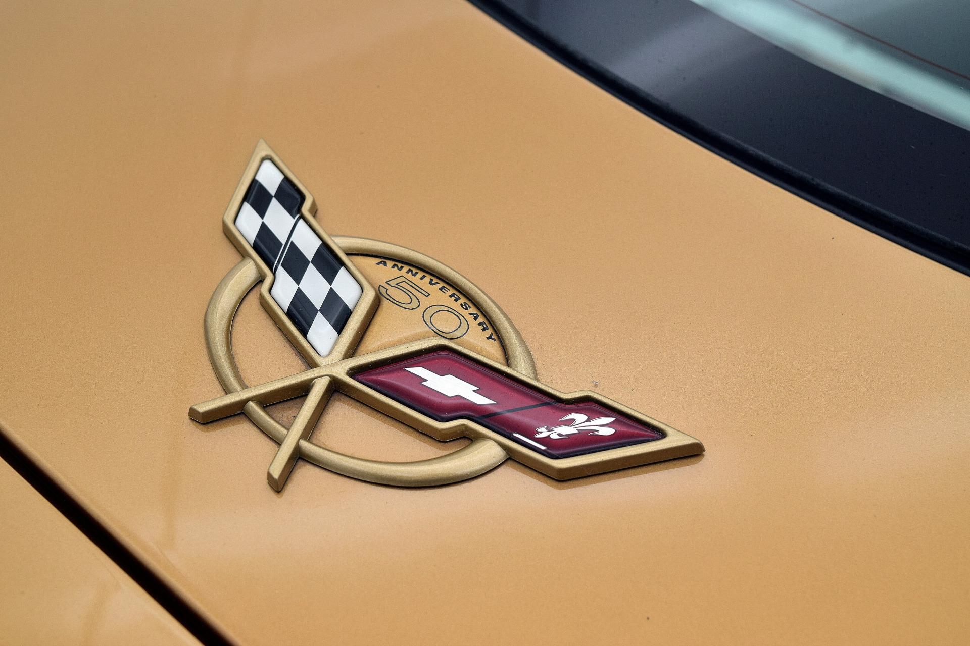 Used 2003 Chevrolet Corvette Coupe | St. Petersburg, FL
