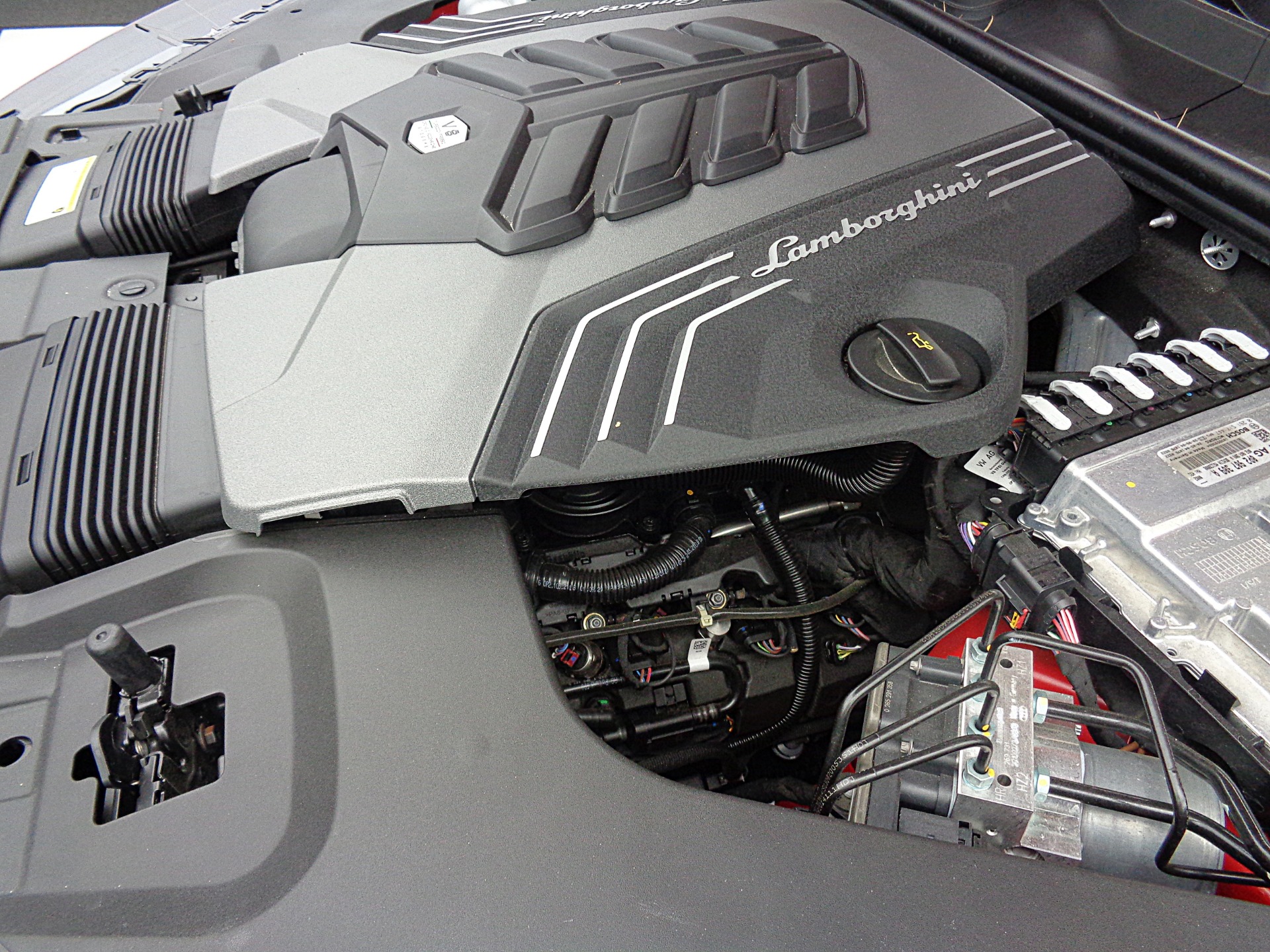 Used 2021 Lamborghini Urus | St. Petersburg, FL